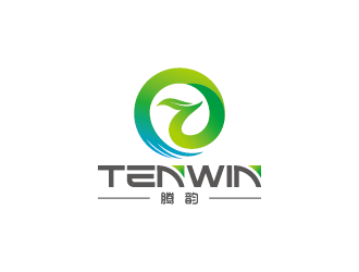 王涛的Tenwin 腾韵logo设计