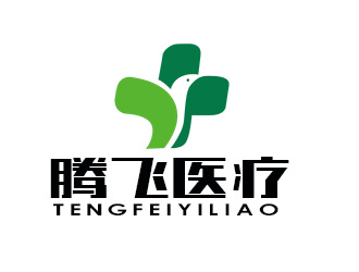 朱兵的河南省腾飞医疗器械有限公司logo设计