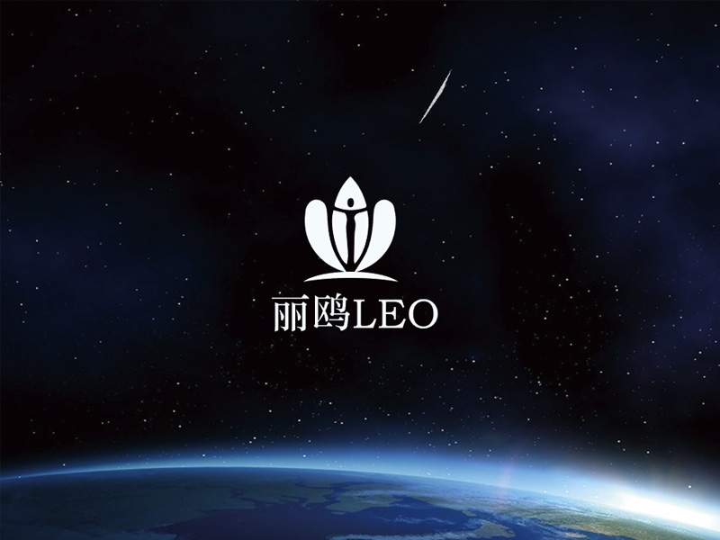 秦光华的丽鸥logo设计