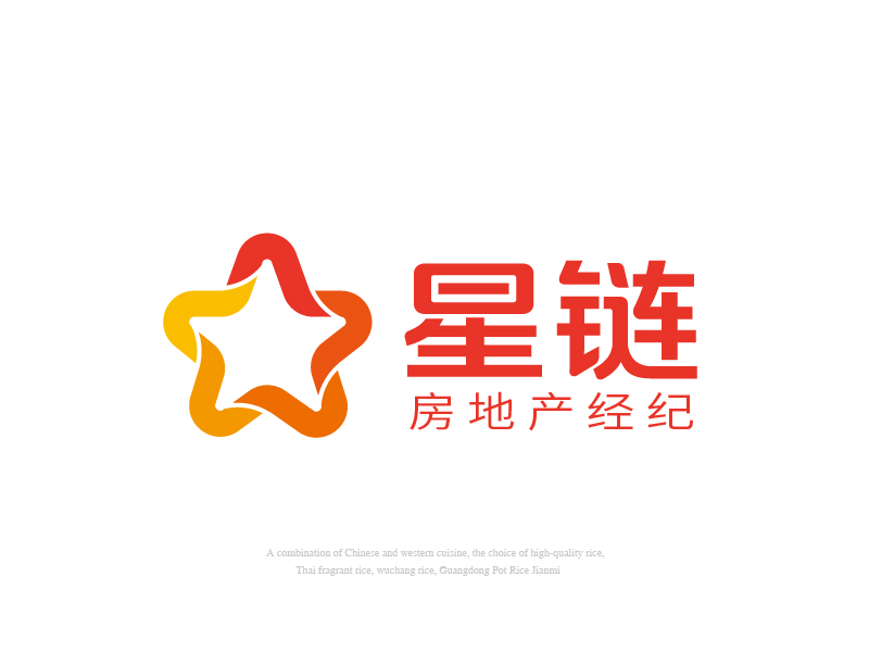 张俊的深圳市星链房地产经纪有限公司logo设计